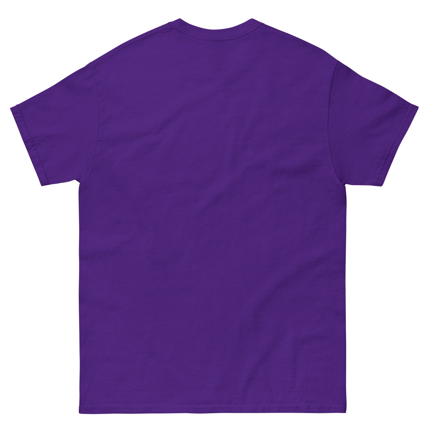 Hoydenish Unisex Classic Tee Purple Mary Neal Adult